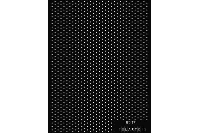 Image R 2 T 7