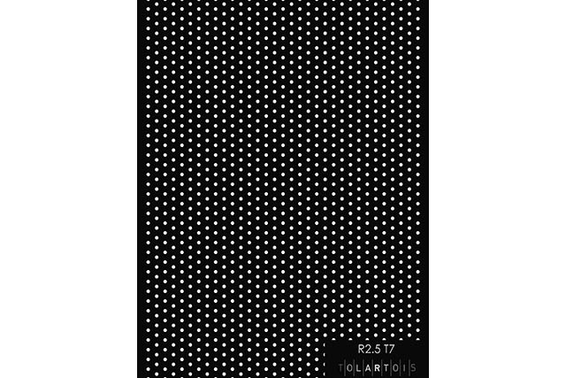 Image R 2.5 T 7